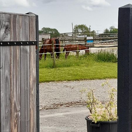 Le Gite De Campagnette Avec Son Jacuzzi Privatif Saint-Martin-Choquel Exteriör bild